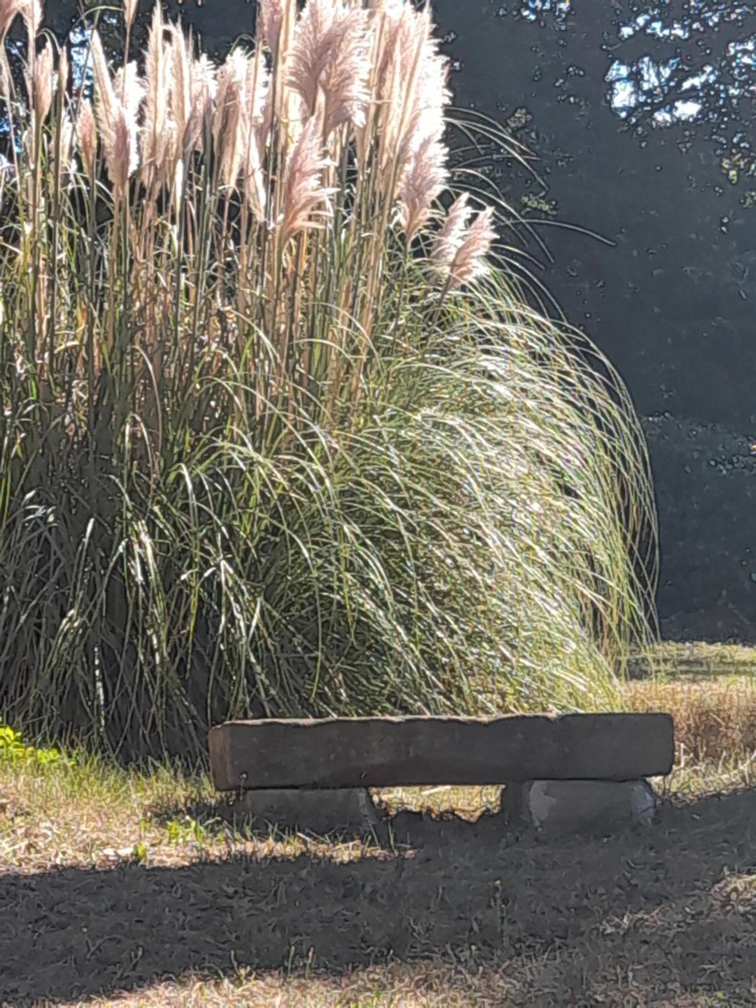 Domaine De Bellevue D'hotes Bed & Breakfast